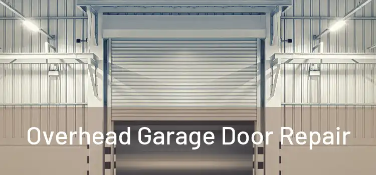  Overhead Garage Door Repair 